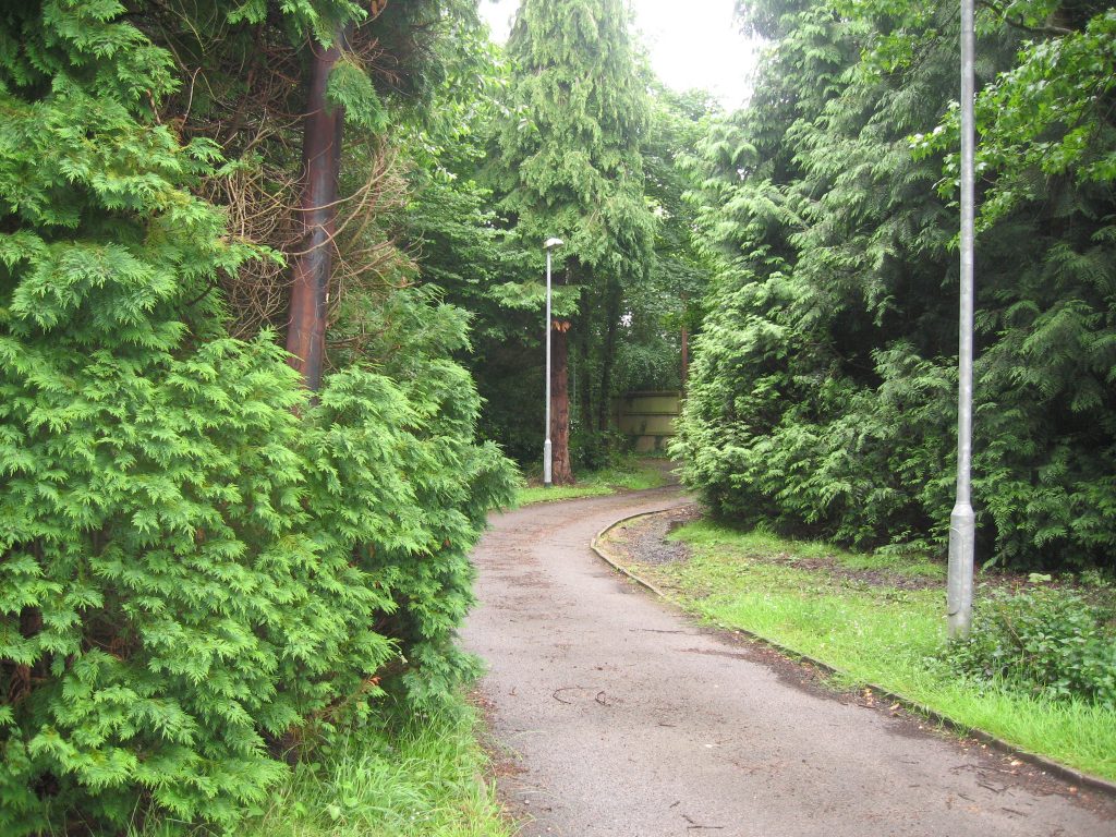 Driveway to brook lane care home