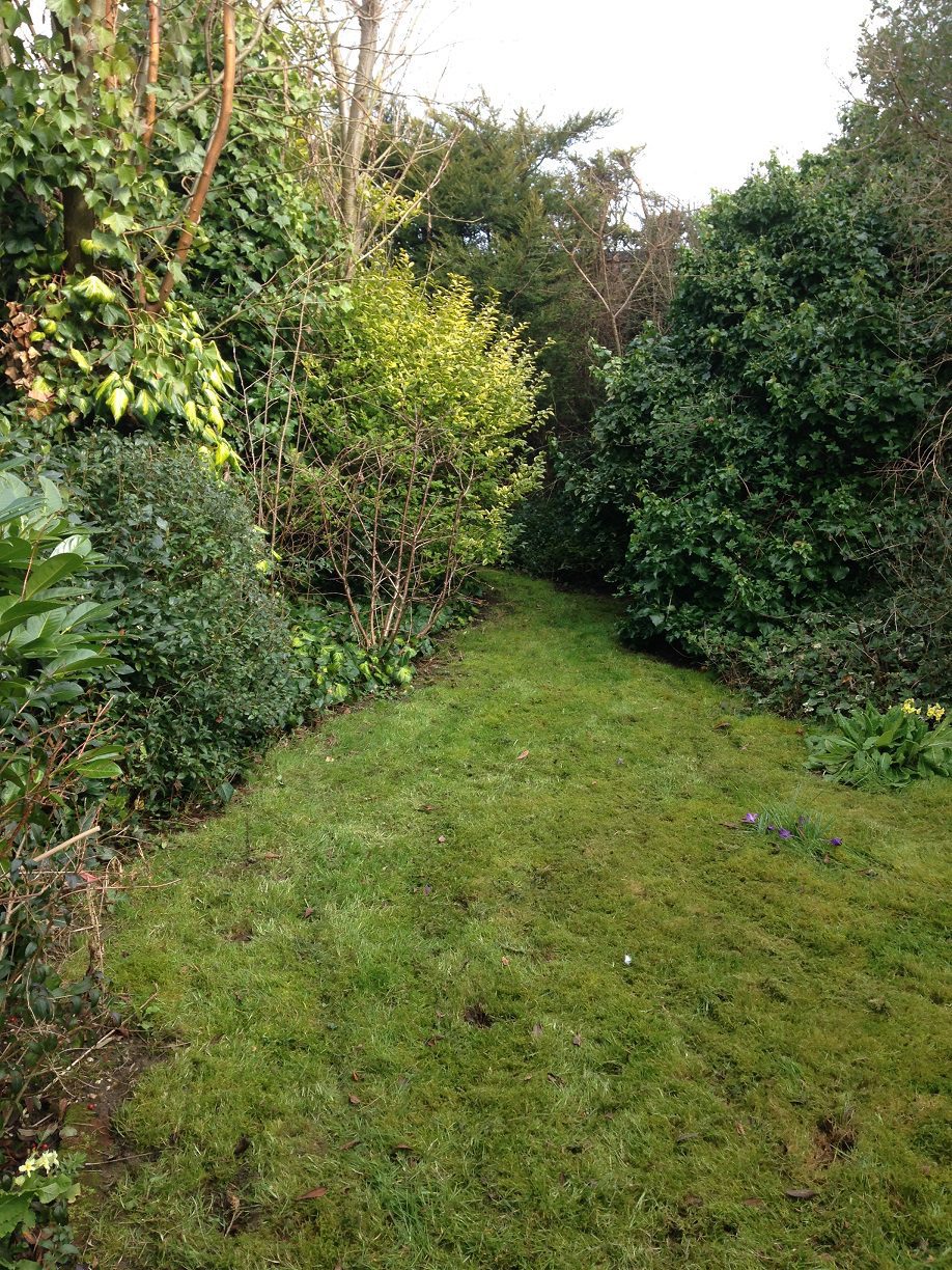 Garden for residents at St faith's villa
