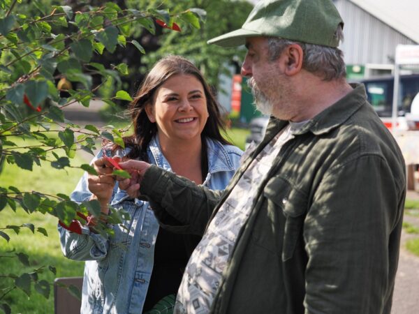 Ty Golff, Residential, Flintshire